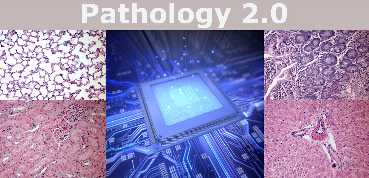 "Web 2.0" is creating "Pathology 2.0"