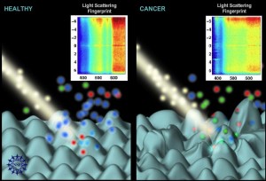 Researchers at Duke University used the “light scattering” fingerprints of a cell to identify cancerous or pre-cancerous cells. The technology is angle-resolved low-coherence interferometry (a/LCI). It is capable of measuring cellular apoptosis and can be useful in studying chemotherapeutic efficacy. (Image by Nicolle Rager Fuller, National Science Foundation.)