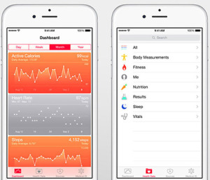 Pictured above is the Apple HealthKit dashboard display.