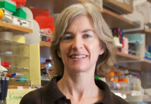 Jennifer Doudna, PhD