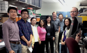 Lifang Hou, MD, PhD (center in black) with her research team at the Hou Lab, Northwestern University Feinberg School of Medicine. The over-arching research focus of the Hou Lab is to understand the biological mechanisms linking environmental and lifestyle factors with subclinical or clinical disease development, which ultimately lead to development of effective strategies for early detection and prevention of cancer and chronic diseases. (Photo and caption copyright: Northwestern University.)