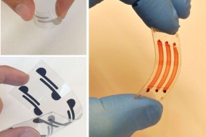 This biosensing film is made from cellulose paper and flexible polymer. (Photo copyright Popular Science.)