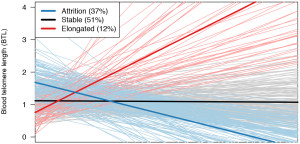 The image above is a spaghetti plot of individual participants' blood telomere length (BTL) trajectory across the study. Participants were male, with mean age of 72 at baseline (range 55–100), and mostly white (535/579 or 95.5%). BTL decreased over time among participants free of cancer at baseline: from mean BTL of 1.26 ± 0.48 units at baseline to 0.86 ± 0.25 units at the fourth visit. The Northwestern Medicine/Harvard researchers found no significant associations between BTL and prevalent cancers. (Image and caption copyright: The authors and Elsevier B.V.)