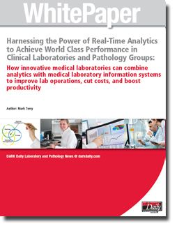 harnessing-real-time-analytics-white-paper-the-dark-report-and-Visiun