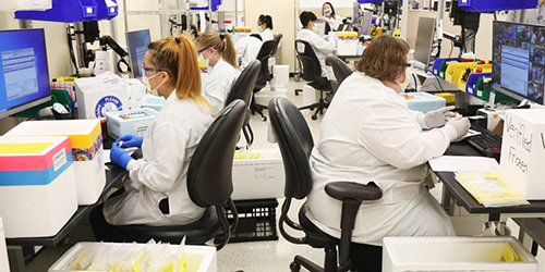 A team of clinical technicians in laboratory coats verify COVID-19 samples in a laboratory.