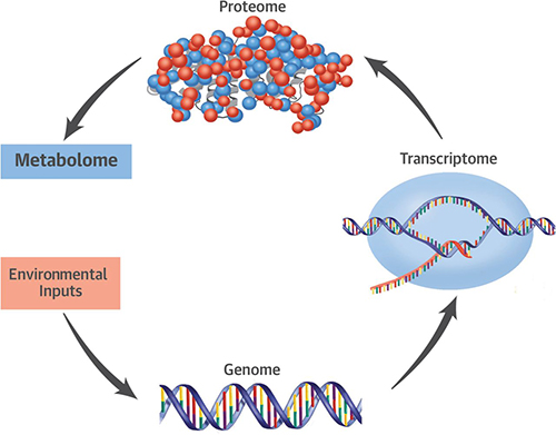 State-of-the-art metabolomic technologies