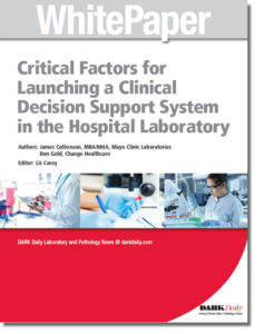 Critical Factors for Launching a Clinical Decision Support System in the Hospital Laboratory